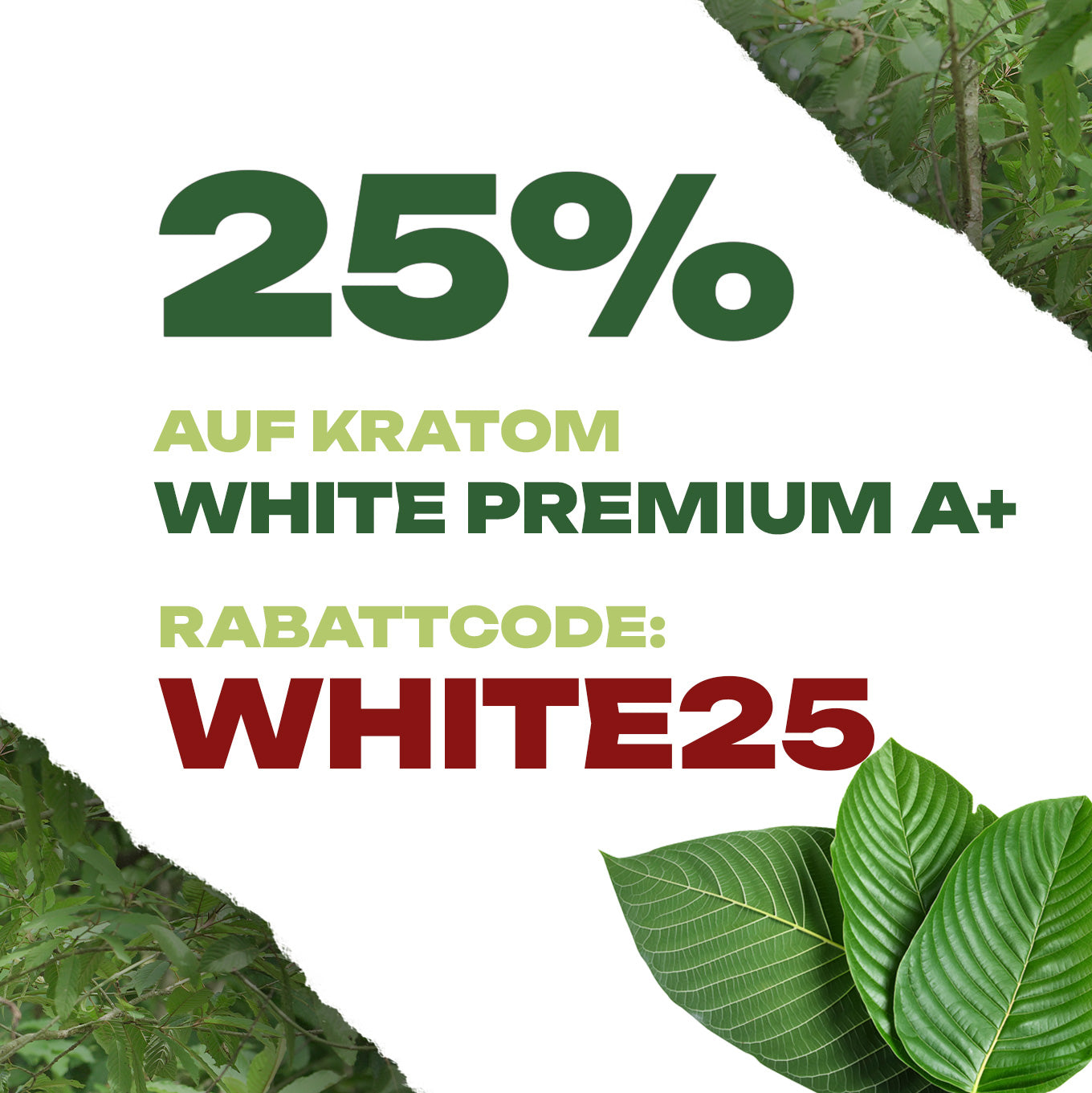 Satte 25% auf White Premium A+