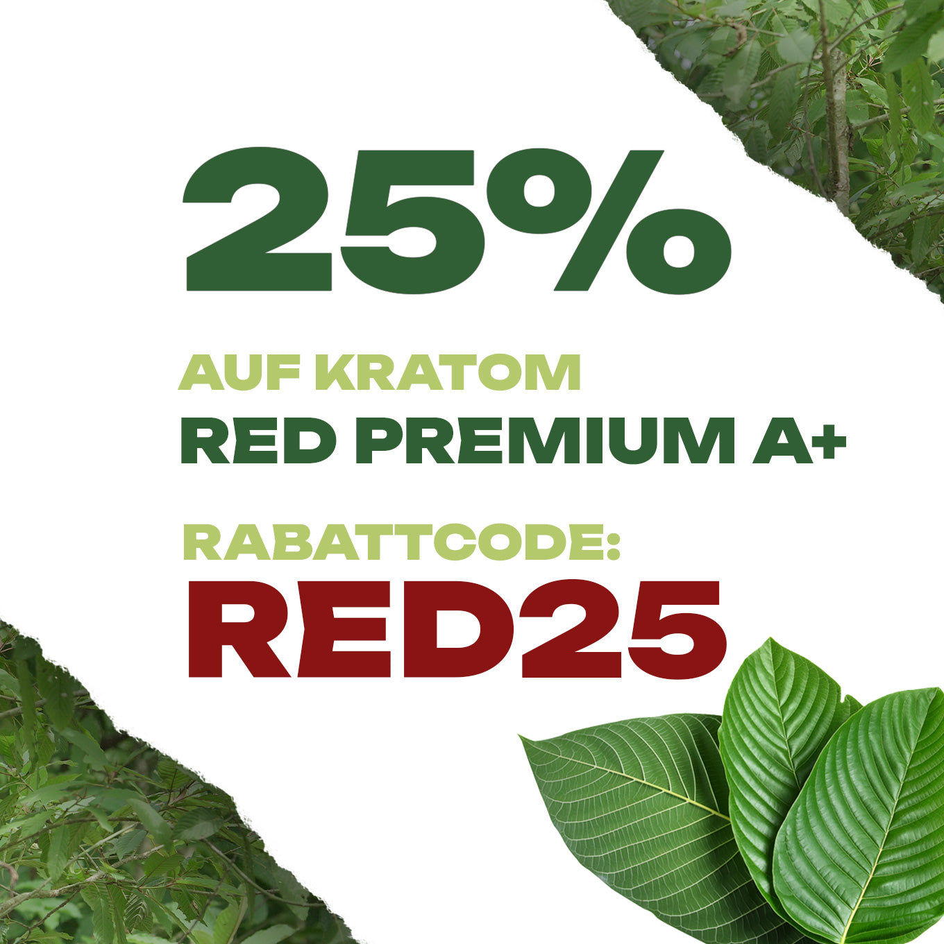 Satte 25% auf Red Premium A+