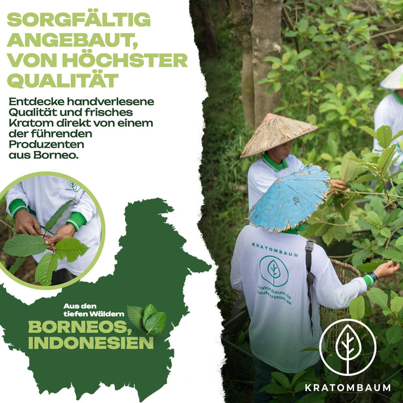 Red Riau Kratom