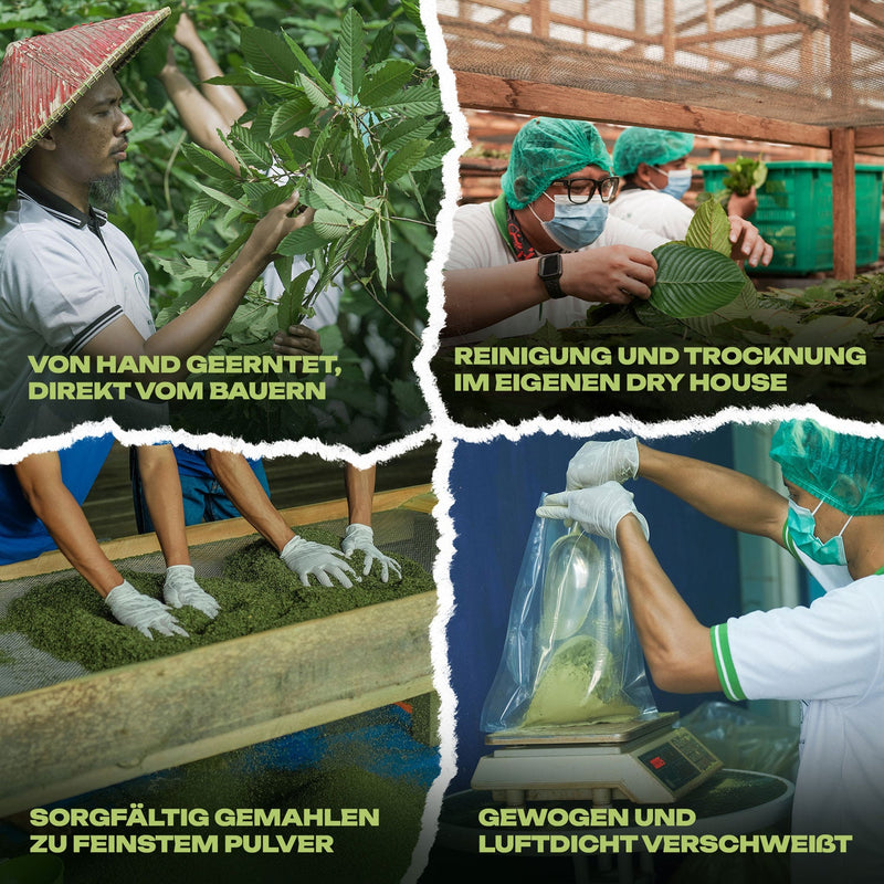 Red Riau Kratom